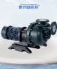 耐腐蝕泵試機啟動需要注意什么?